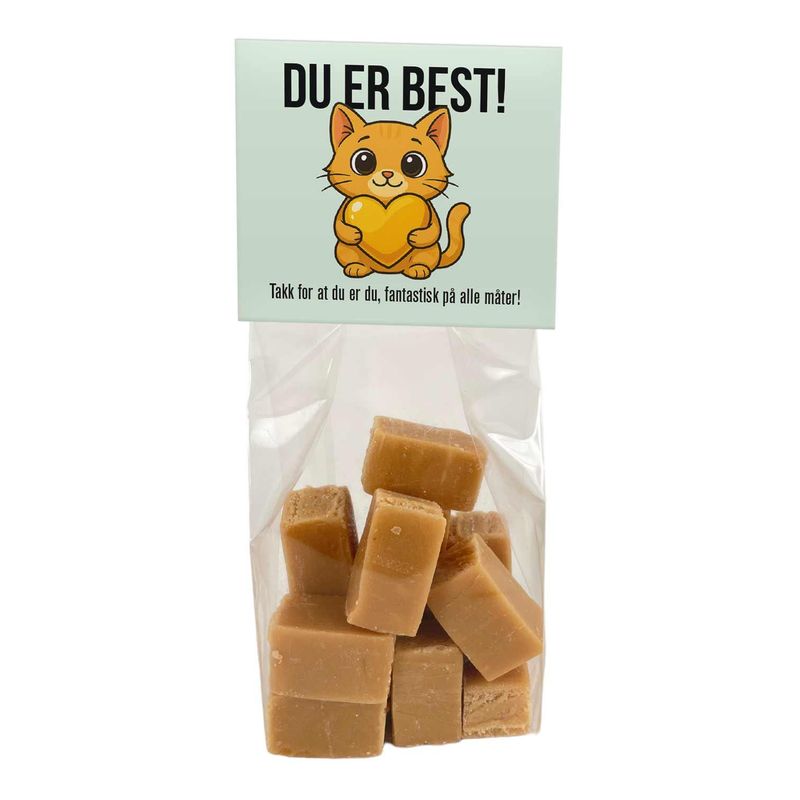 Fudge - Du er best katt