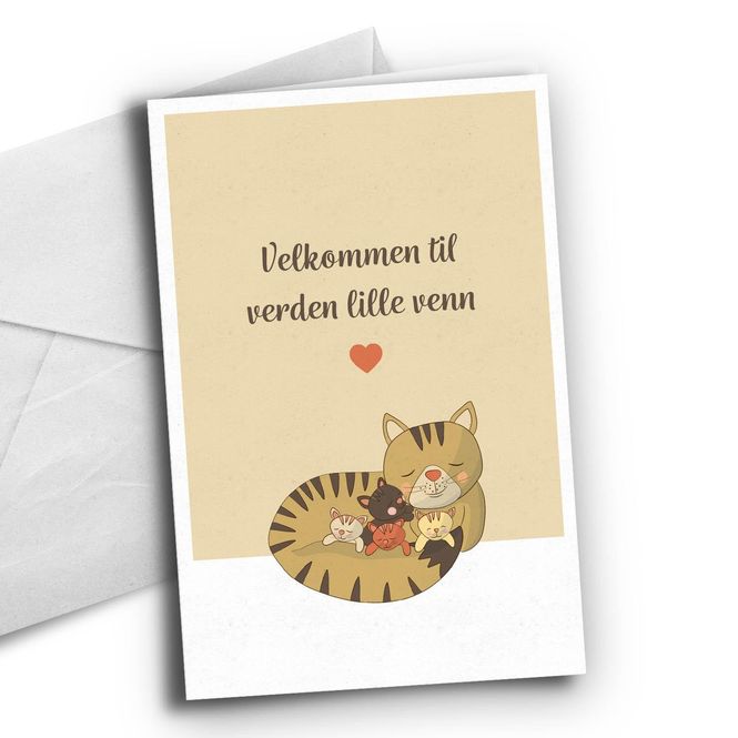 Hovedbilde Velkommen til verden lille venn (Pus)